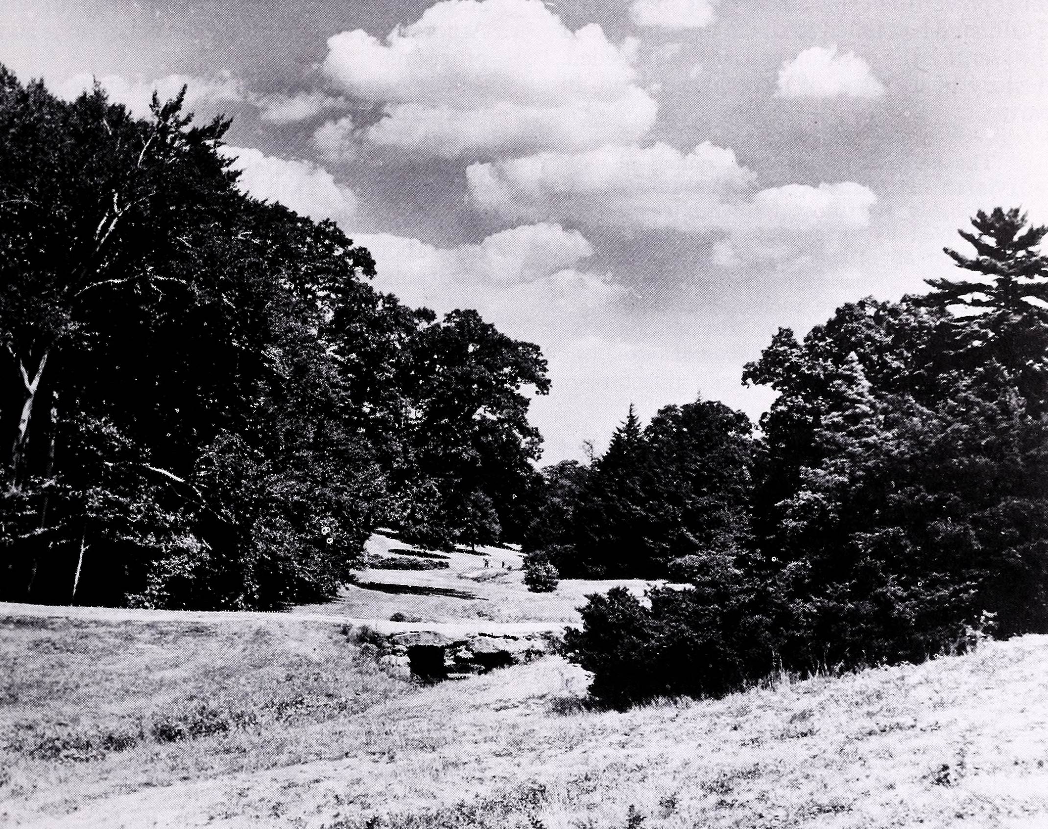 A black and white photo of Bussey Brook in the Arnold Arboretum.