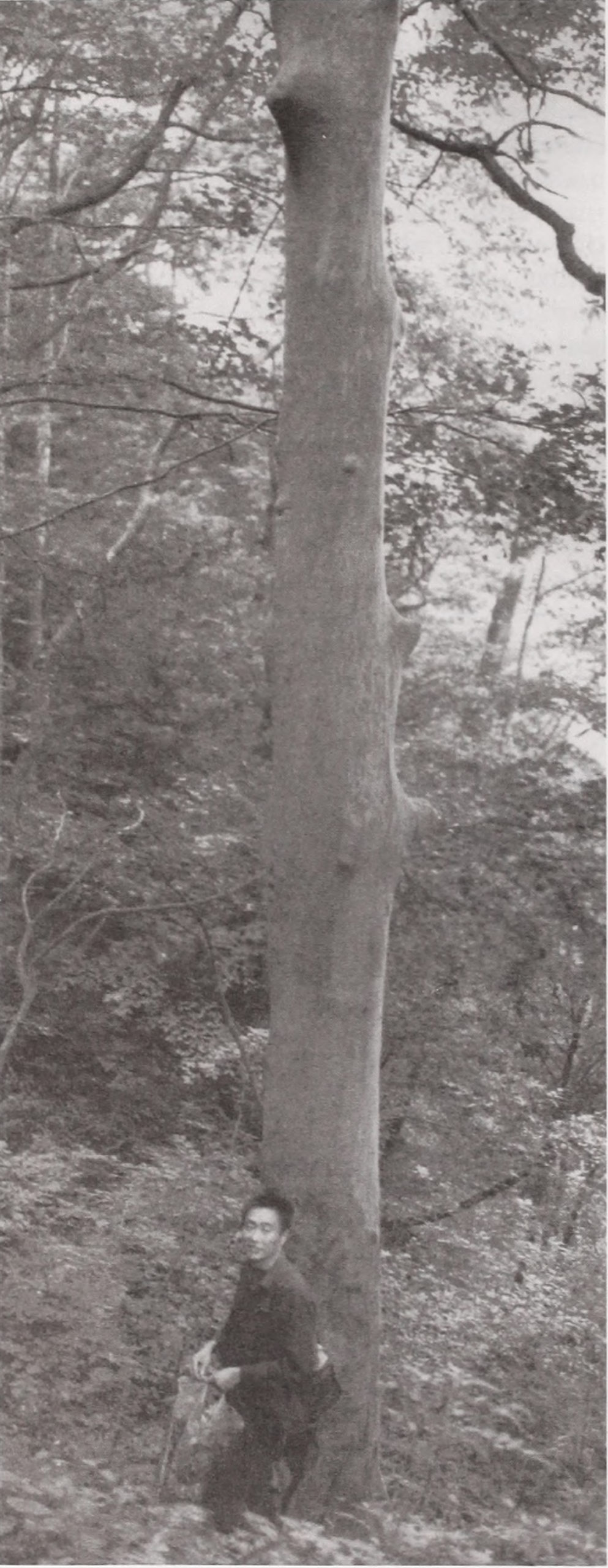Black-and-white photograph of man standing beside large tree