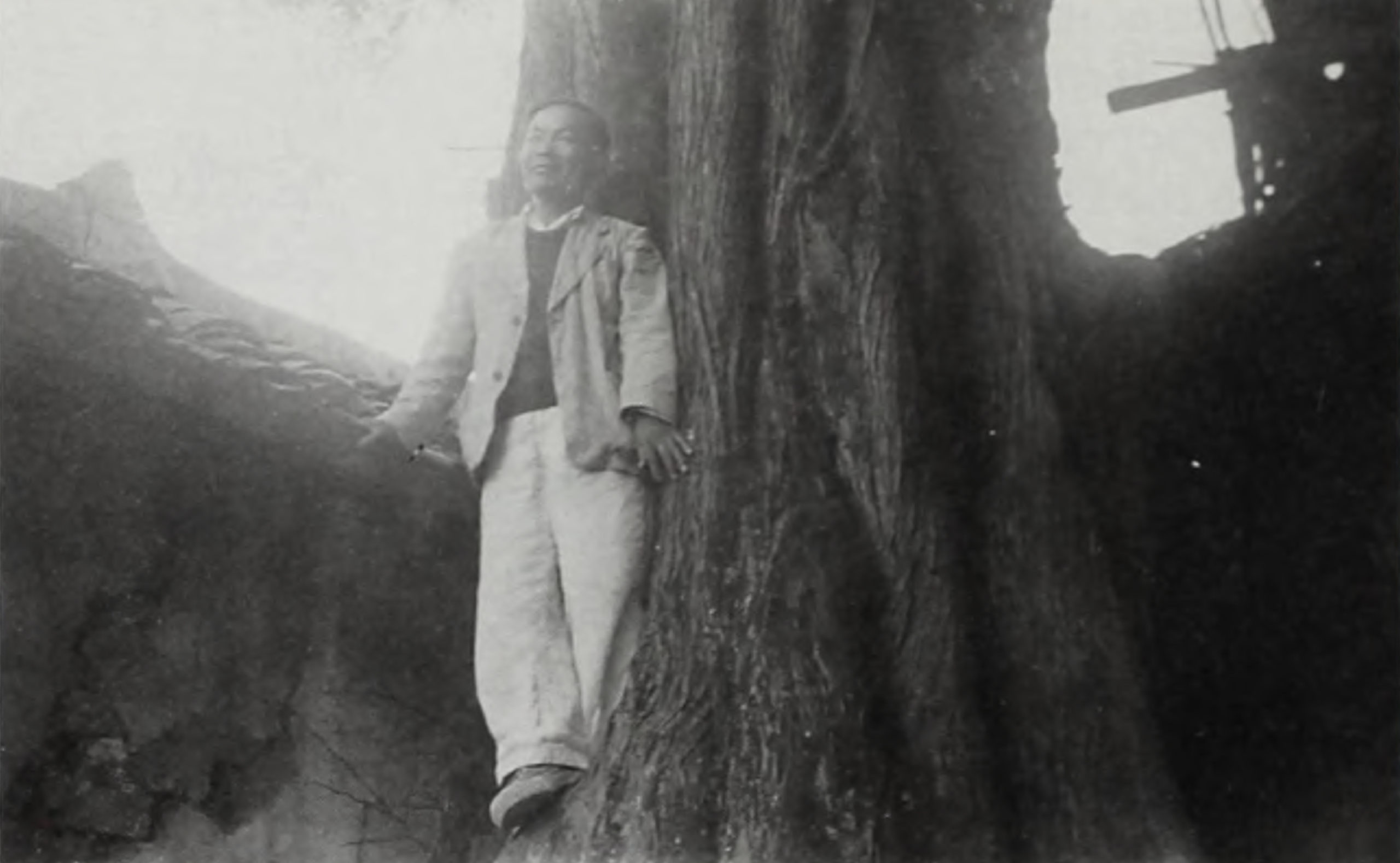 Image of botanist standing beside tree trunk