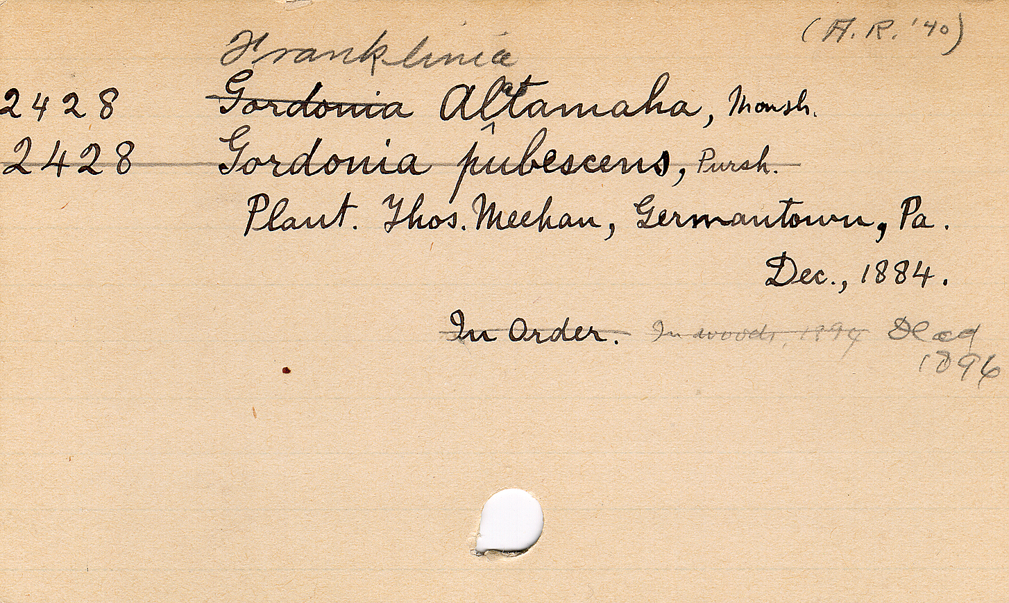 Hand-written index card with accession information about franklinia