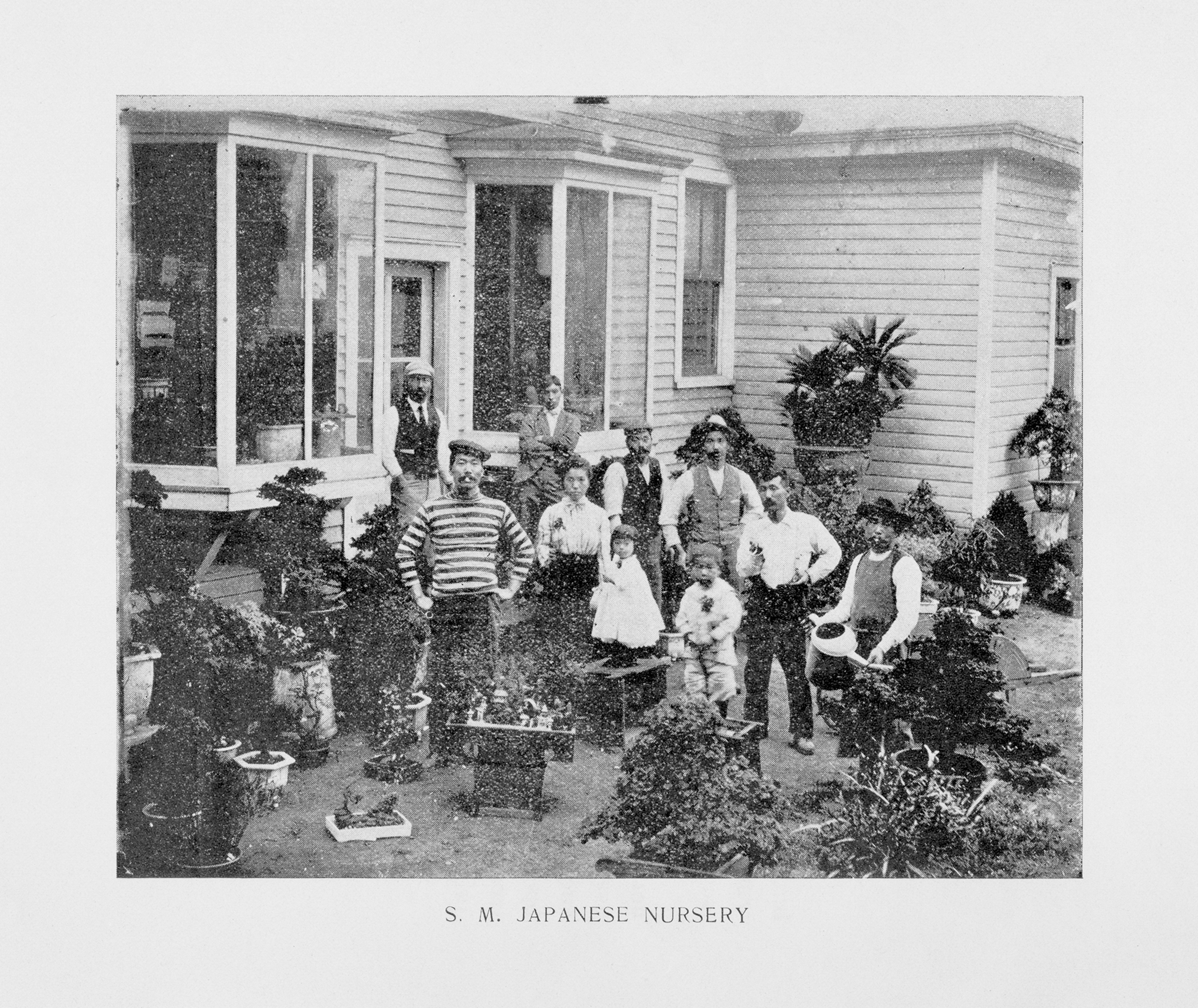 Group of ten individuals standing with bonsai in containers