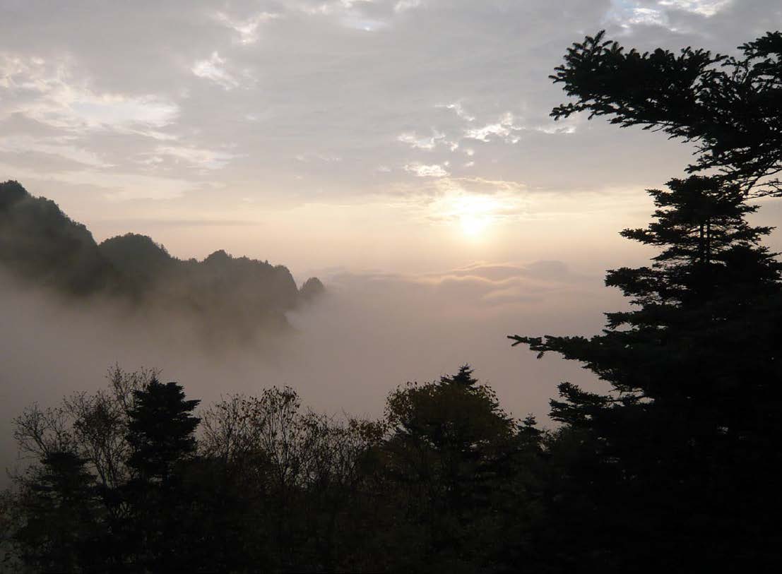 Photograph of misty sunrise