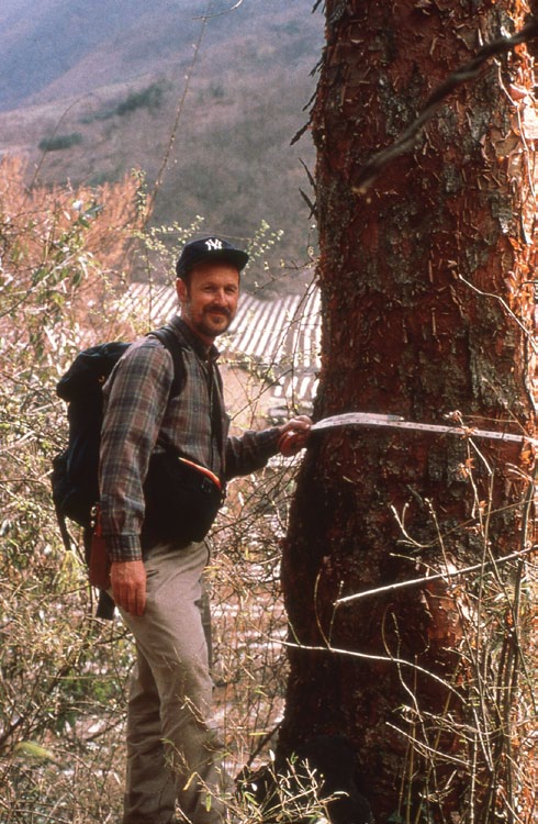 Photo of collector standing beside large red-barked tree
