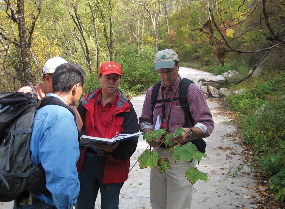 Photo of collector holding branch and standing on wooded road
