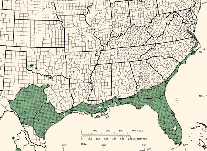 Map showing range of live oak along coasts of the Southeast