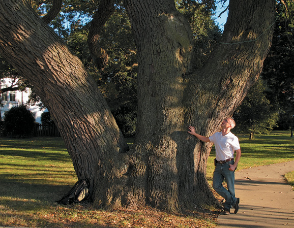 Photo of collector standing beside large tree