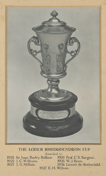 A black and white photo of the 1924 Loder Rhododendron Cup.