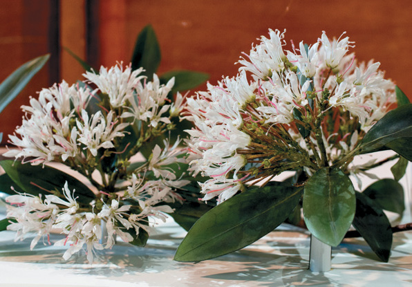 A glass model of mountain laurel flowers.