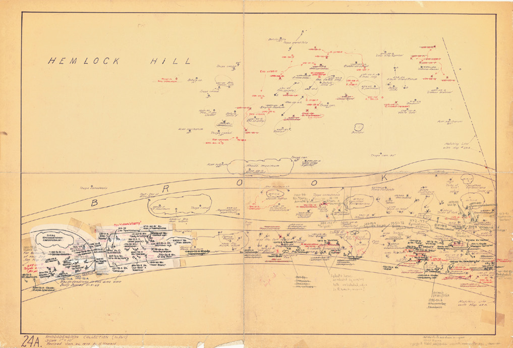 A scan of a hand-drawn map.