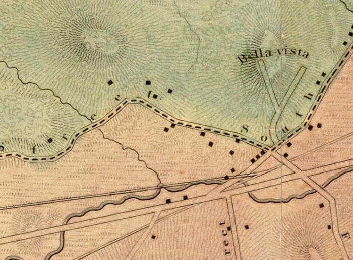 Charles Whitney Map, 1849 (Archives of Arnold Arboretum)