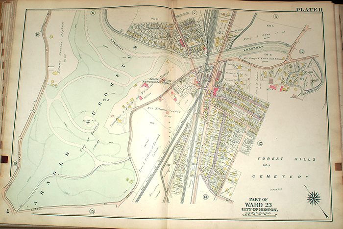 Property Map, 1905 (Archives of Arnold Arboretum)