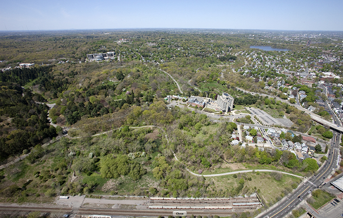 Bussey Brook Meadow and Blackwell Path, Aerial View (Archives of Arnold Arboretum)