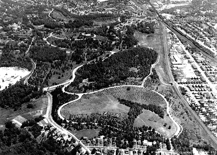 Bussey Brook Meadow, Aerial View, 1927 (Archives of Arnold Arboretum)