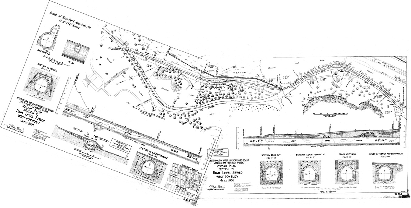 Sewer Line Map (Archives of Arnold Arboretum)