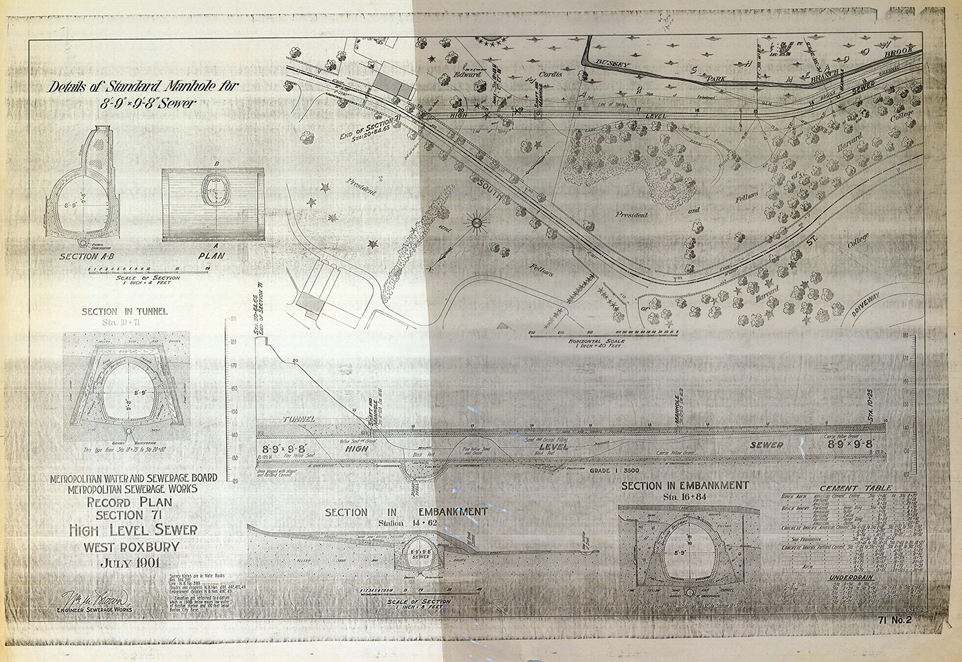 Sewer Line Plan, 1901 (Archives of Arnold Arboretum)