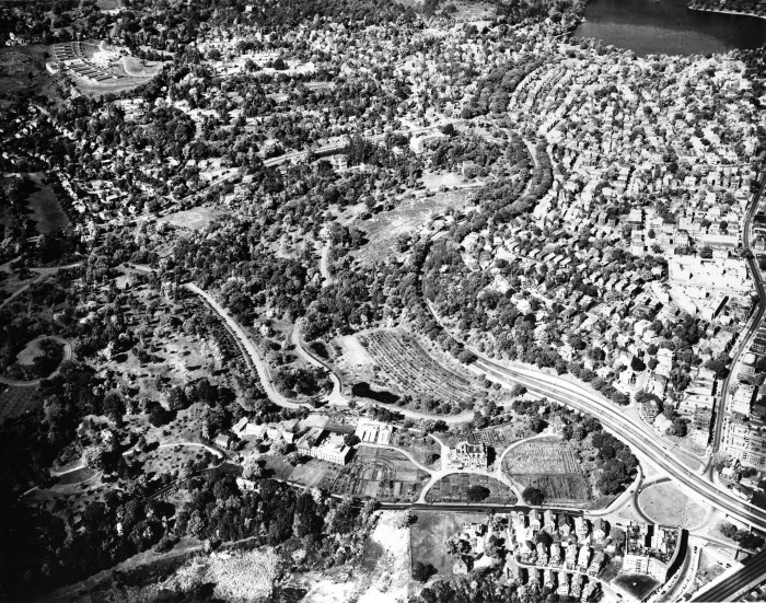 Bussey Brook Meadow, Aerial View, 1955 (Archives of Arnold Arboretum)