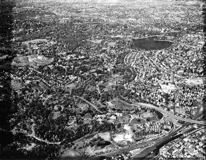 Bussey Brook Meadow, Aerial View, 1955 (Archives of Arnold Arboretum)