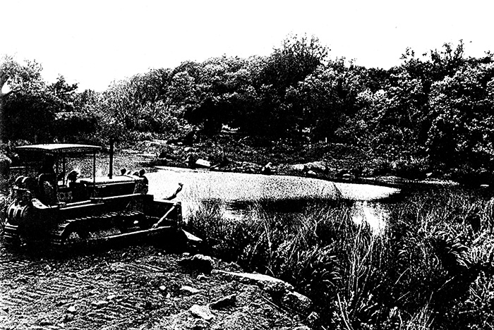 Filling Muddy Pond, 1971 (Archives of Arnold Arboretum)