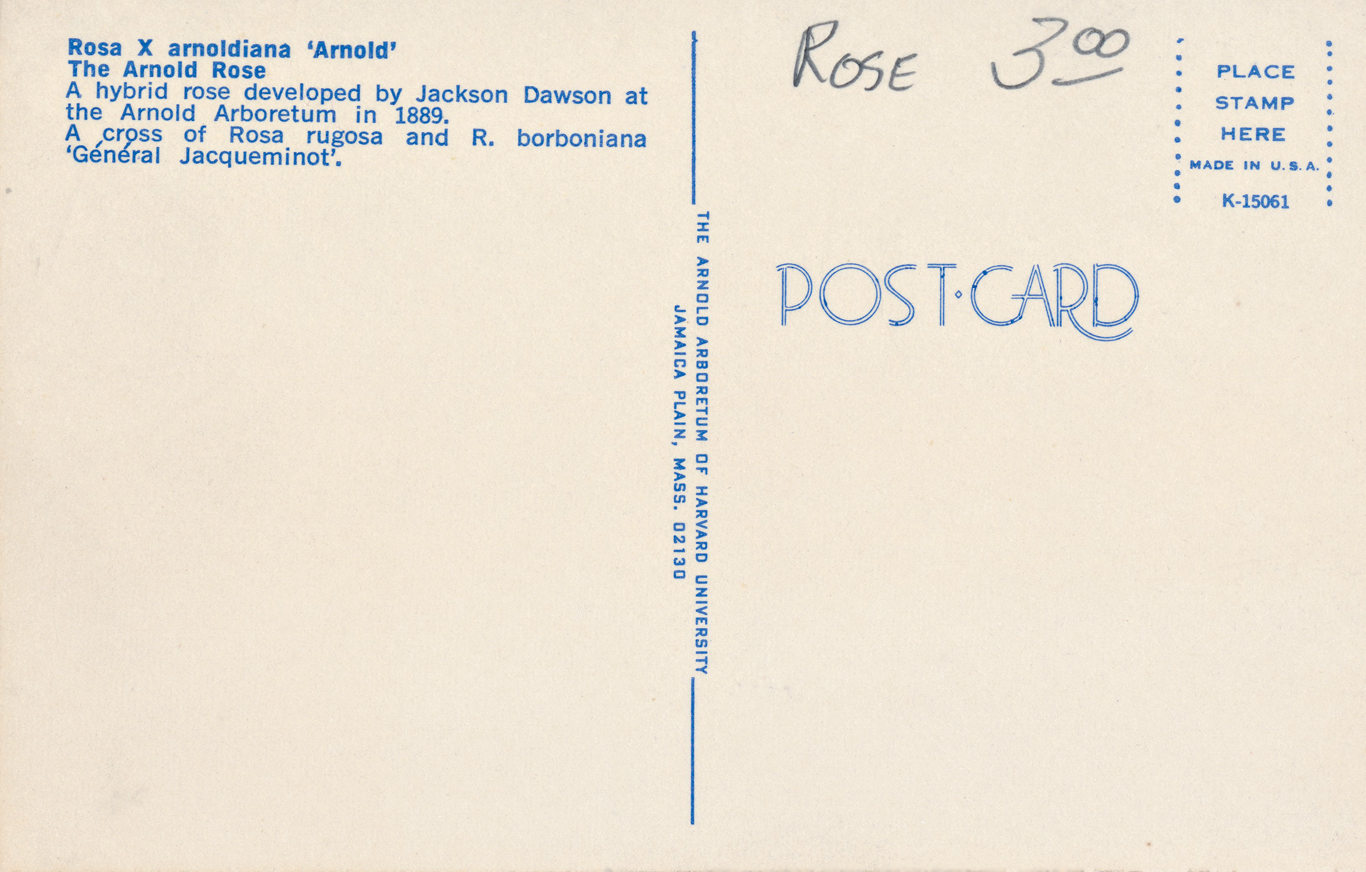 Back side of post card