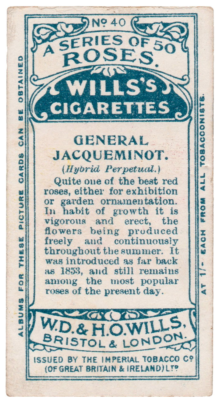 Back of cigarette packet