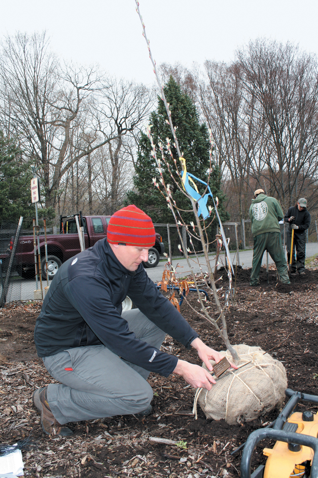 Photo of Kyle Port affixing label to plant in the nursery