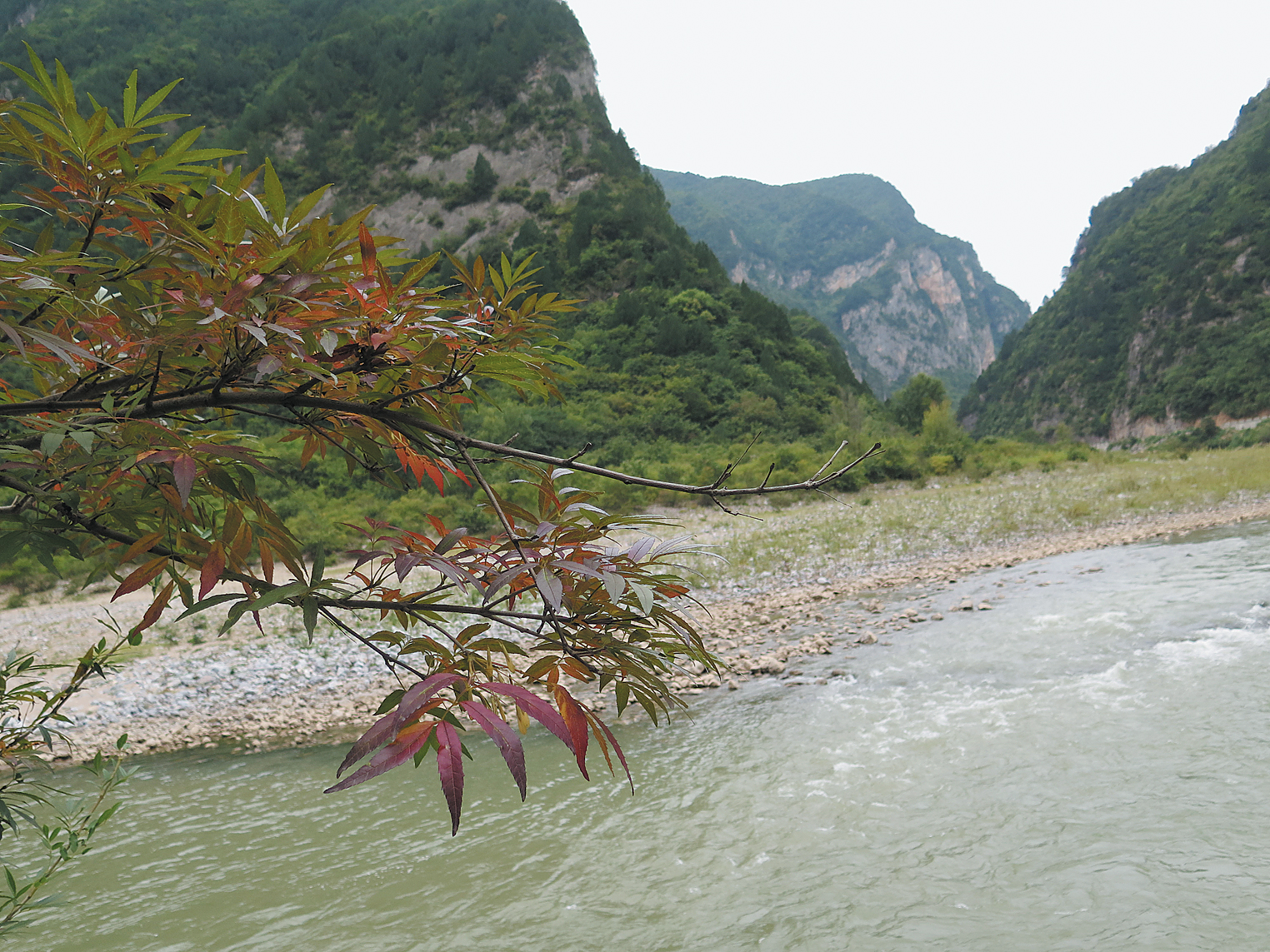 Combination of purple and red foliage with river running behind