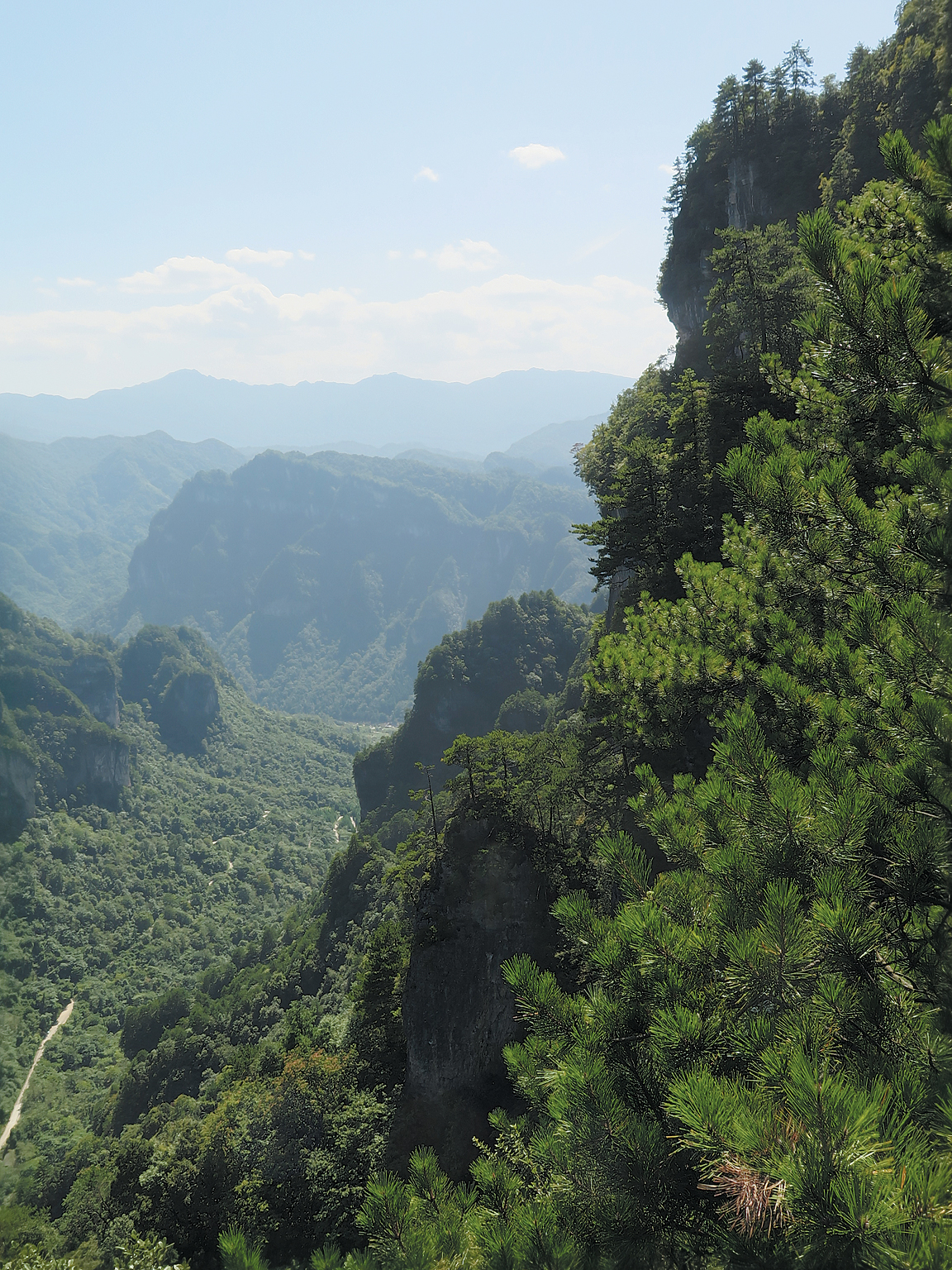 Dramatic cliff covered with green vegetation