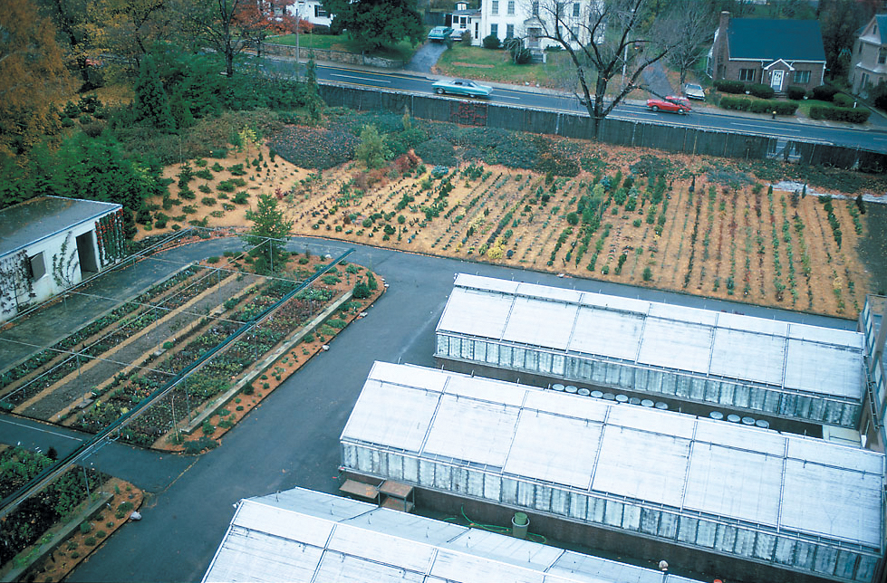 A color aerial photo of a greenhouse.
