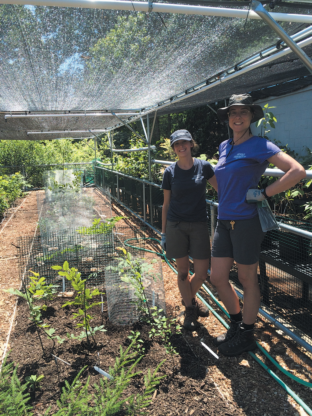 A color photo of two people in a greenhouse.