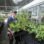 A color photo of a person in a greenhouse.