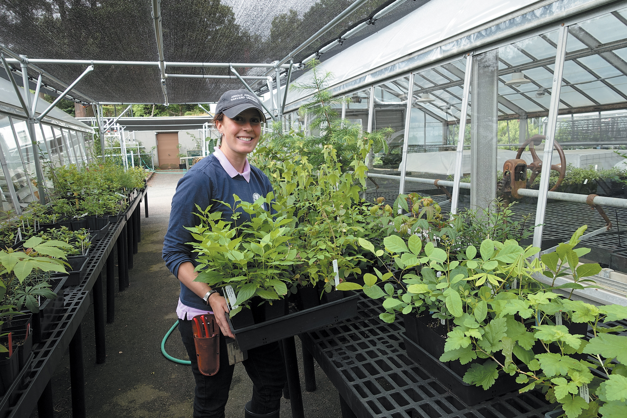A color photo of a person in a greenhouse.