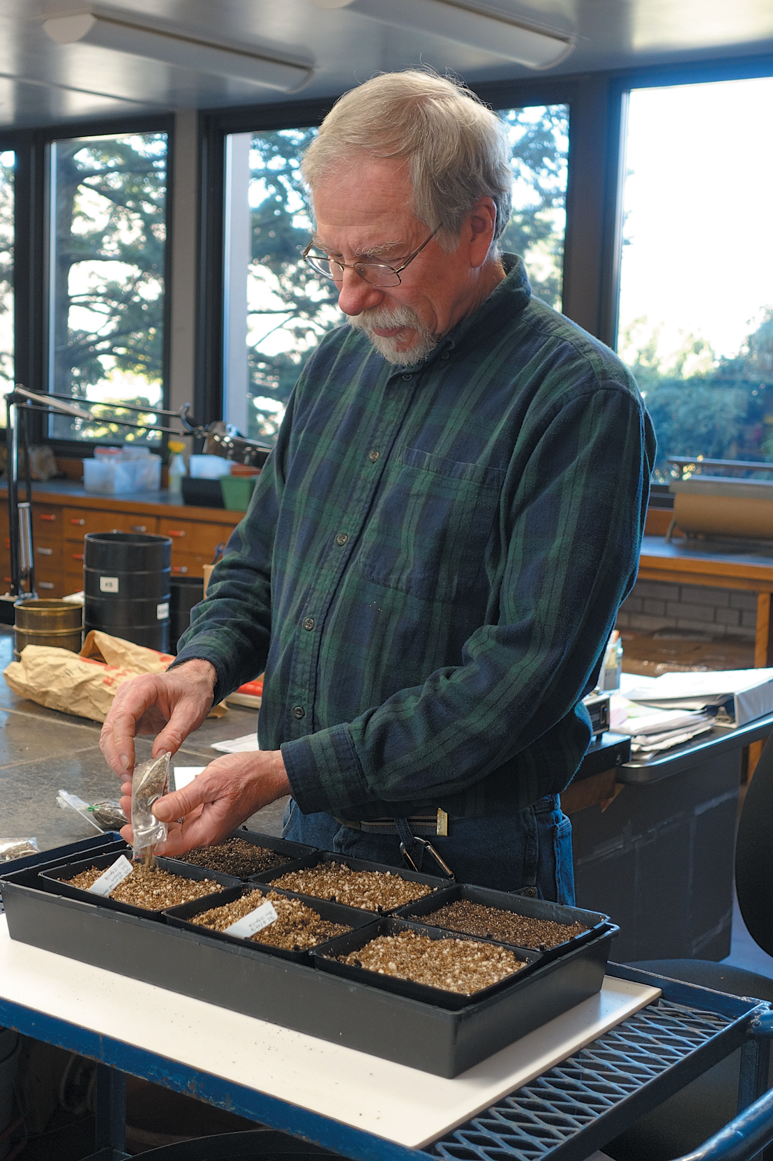 A color photo of a person planting seeds in a greenhouse.