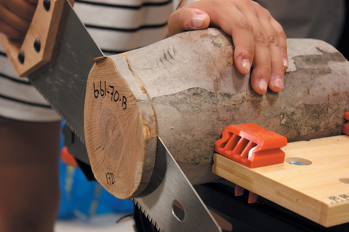 A color photo of a person sawing a section of wood.