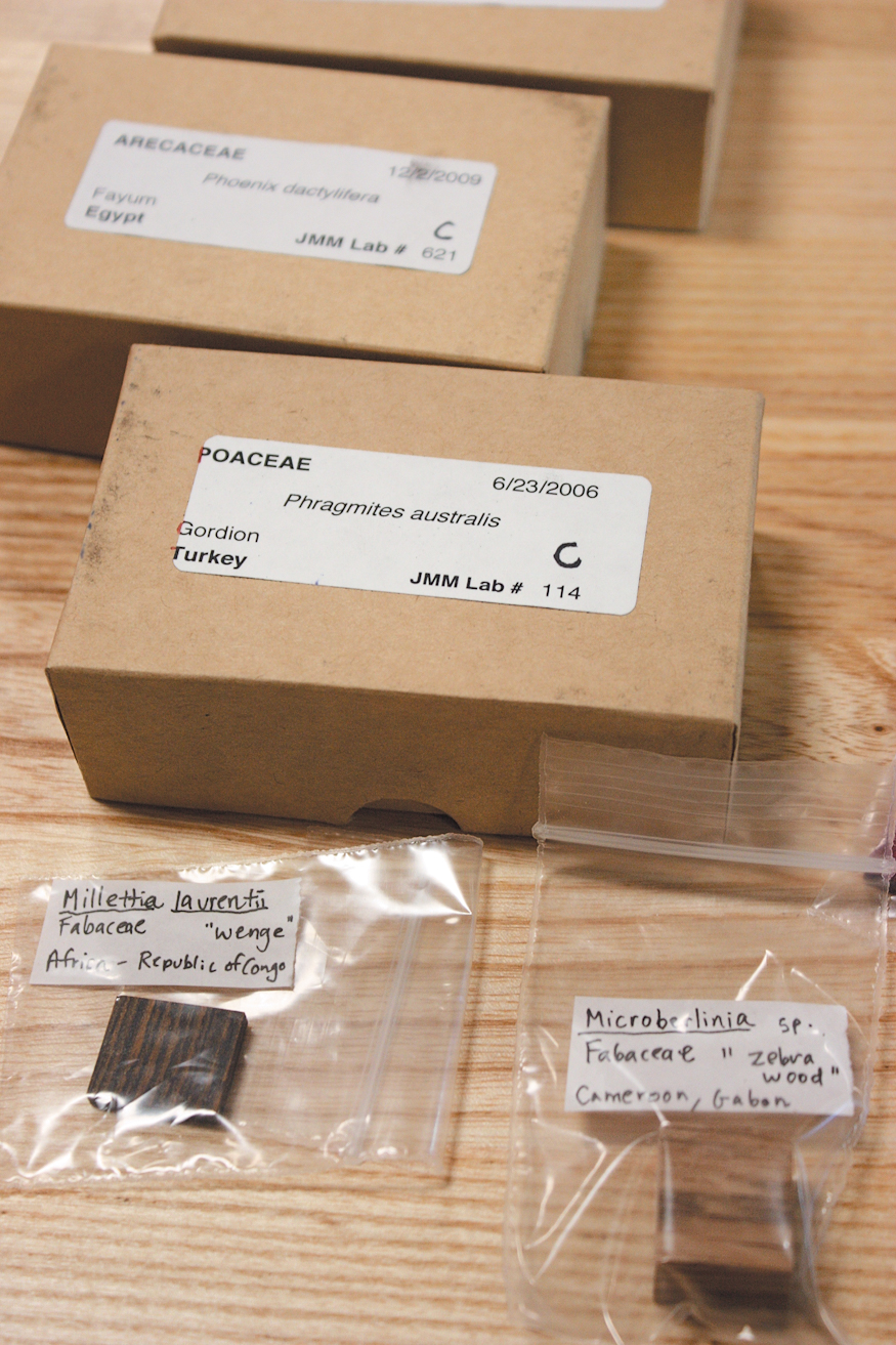 A color photo of labeled wood samples.