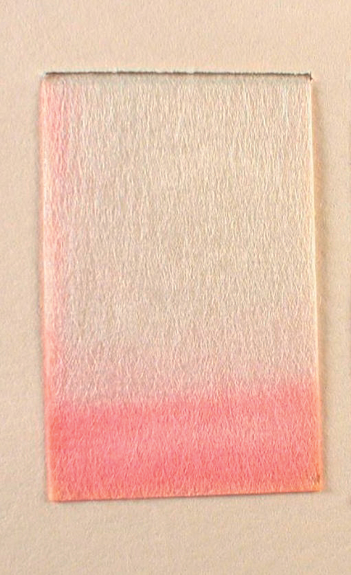 A color photo of a paper dyed with safflower.