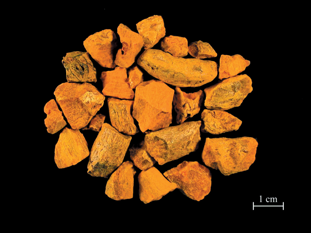 A color photo of dried and cut turmeric rhizomes.