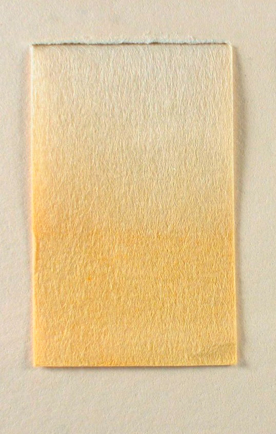 A color photo of paper dyed with turmeric.