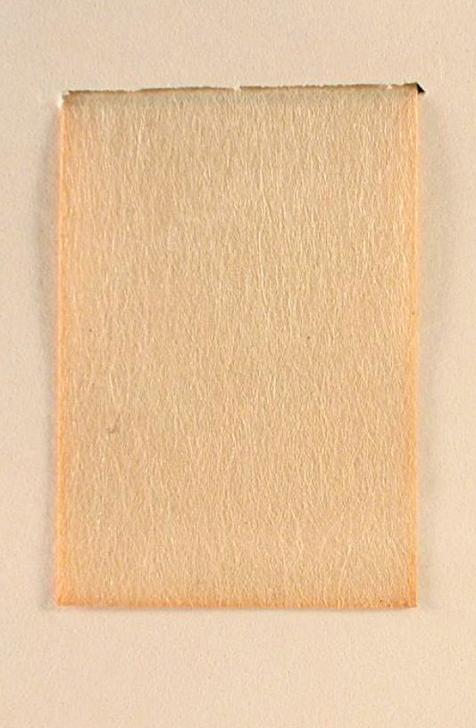 A color photo of paper dyed with pagoda tree buds.