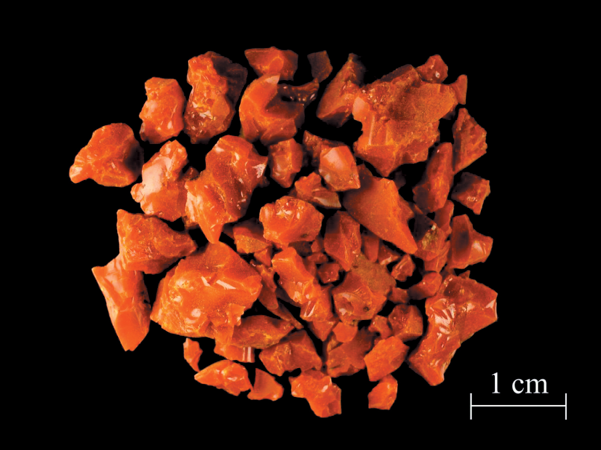 A color photo of gamboge resin pieces.