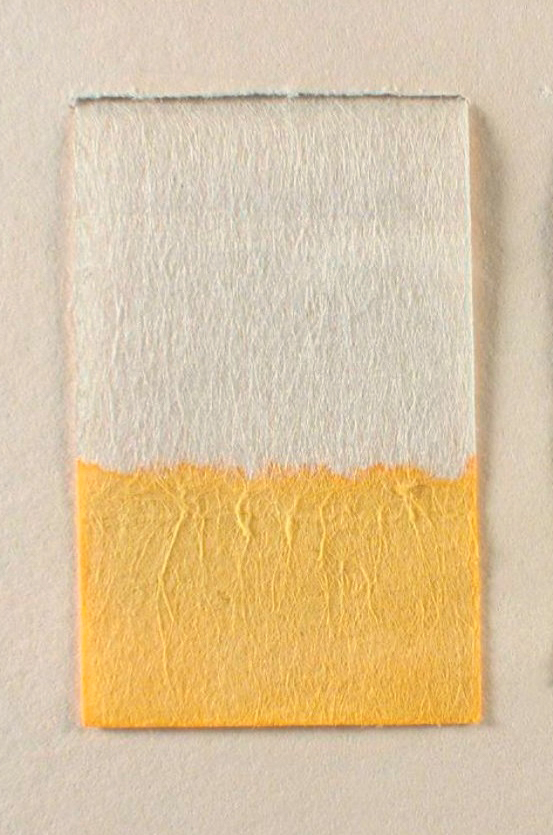 A color photo of paper dyed with gamboge.
