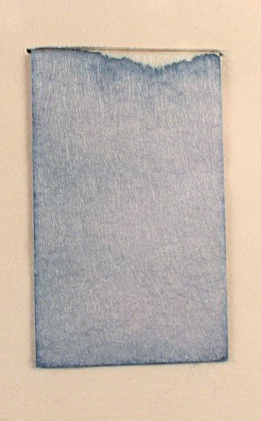 A color photo of dayflower blue on paper.