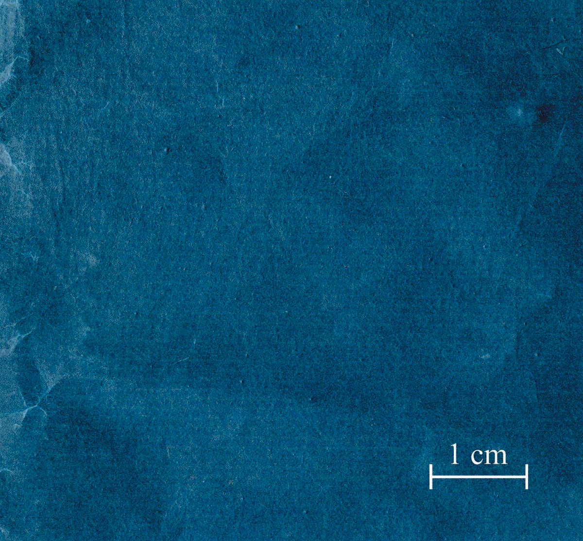 A color photo of indigo-dyed paper.