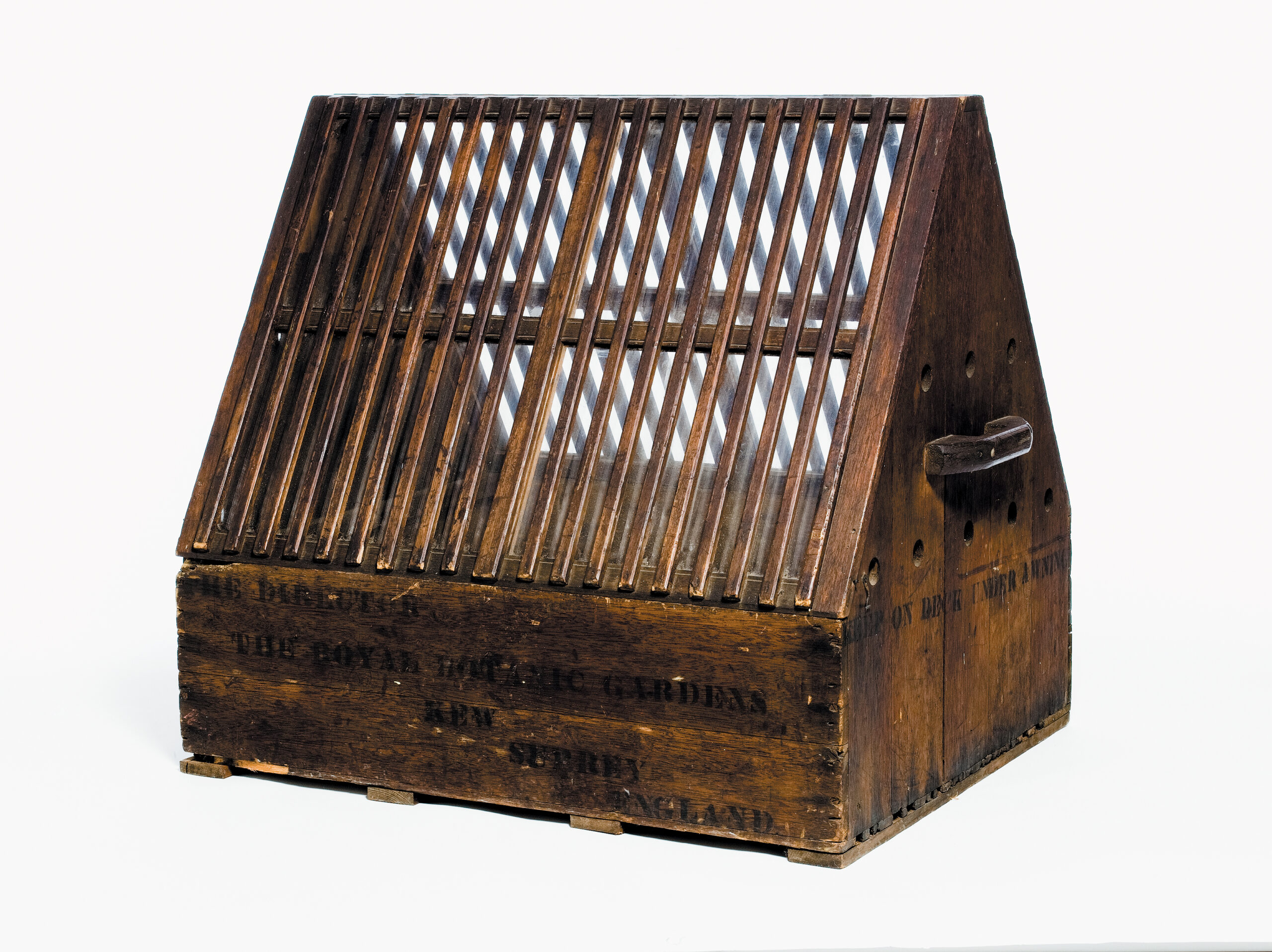 A color photo of a Wardian case.