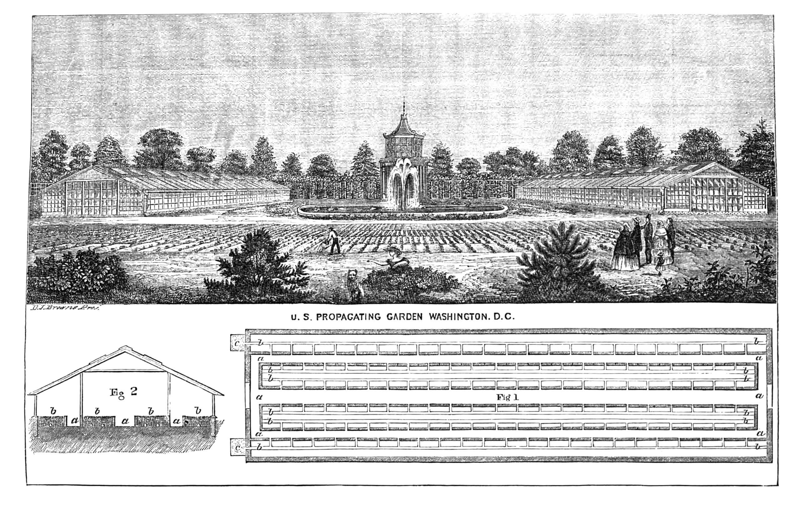 An illustration of the United States Propagating Garden in Washington D.C.