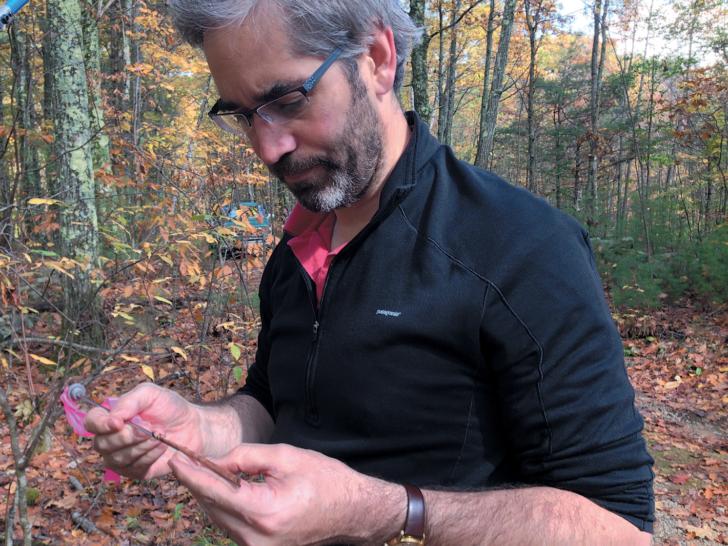 A color photo of a researcher in a forest.
