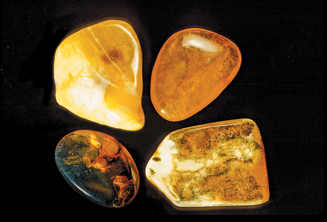 A color photo of amber specimens.