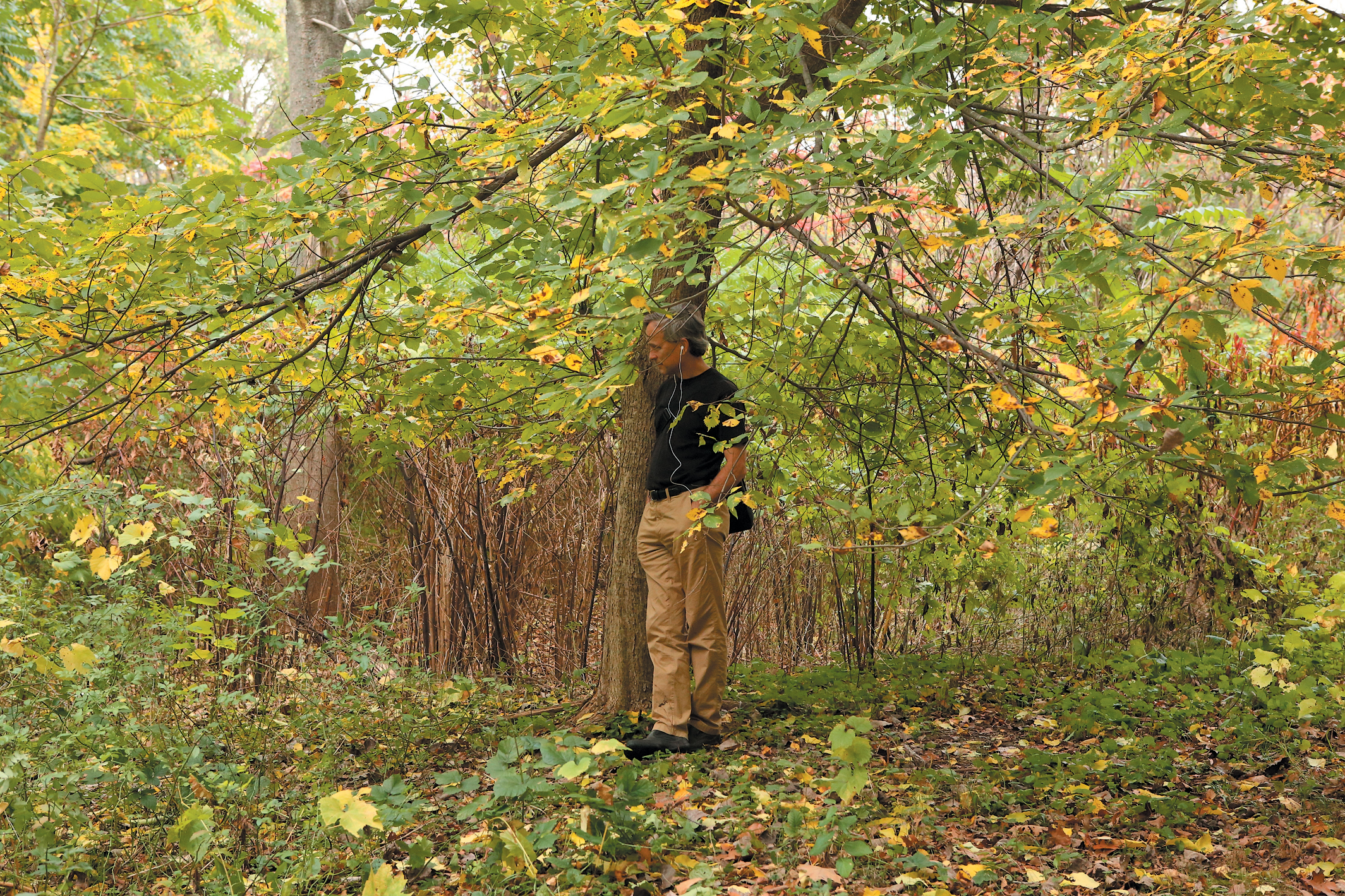 A color photo of a man standing under a tree.