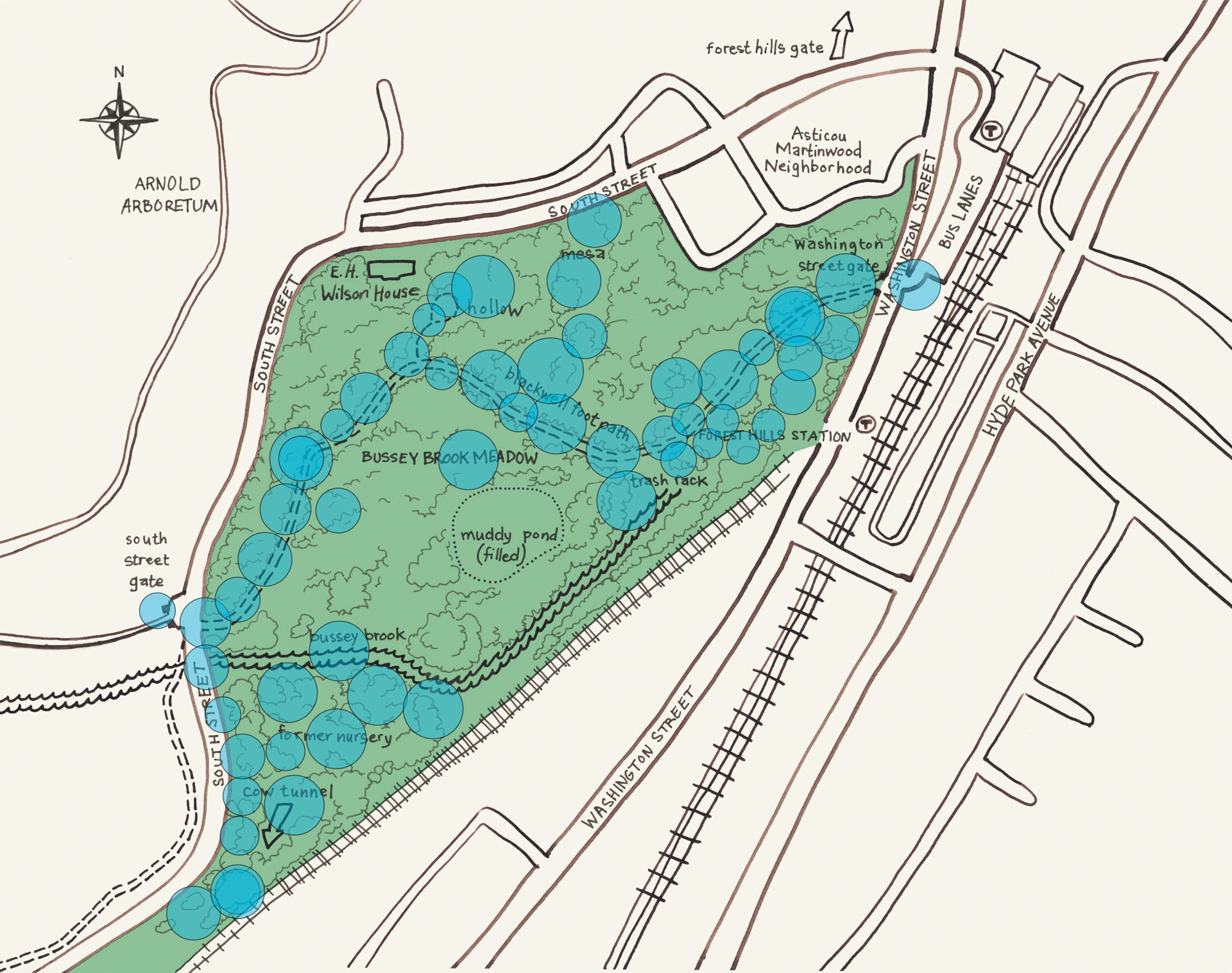 A map of Bussey Brook.