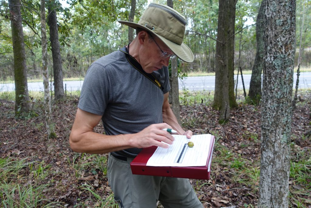 Tom Clark takes diligent notes, describing the fruit of Carya myrisiticiformis. In plant collecting, documenting details about the plants you collect from is just as important as obtaining the plant material.