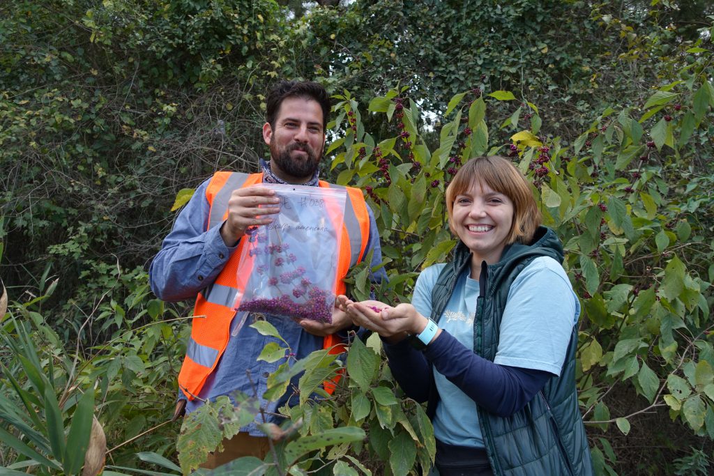 Sean and Cat pose with a very fruitful Callicarpa americana, encountered in North Carolina.